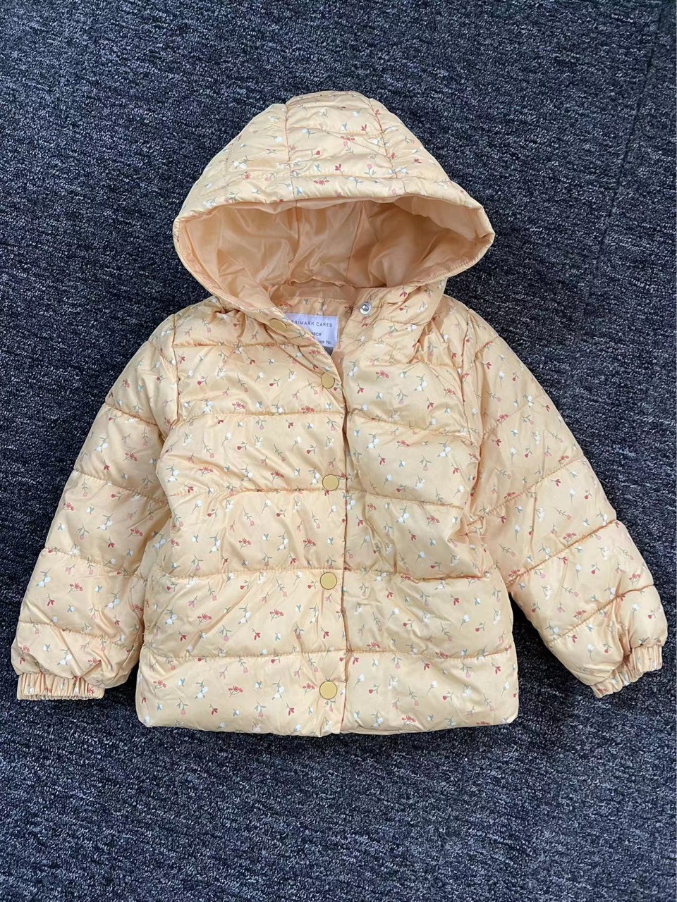 外贸童装批发 中小童春秋冬新款连帽小棉衣薄外套 棉袄