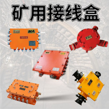 销售JHH-2电路用低压接线盒 煤矿本安型电缆接线盒BHD2高压接线盒