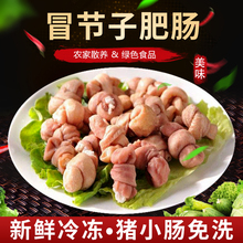 包邮冒节子5斤肥肠节子新鲜猪肠猪大肠火锅食材串串食材商用生鲜