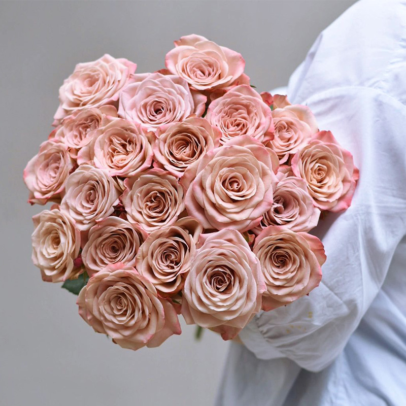 暖心季 卡布奇诺玫瑰花鲜花云南直发基地直批鲜切花家用水养插花