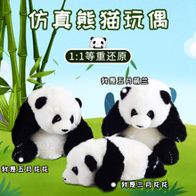可爱熊猫公仔毛绒玩具仿真大熊猫花花萌兰澳洲羊皮毛可爱熊猫幼崽