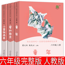 童年爱的教育小英雄雨来全套3册曹文轩陈先云正版人教版六年级上