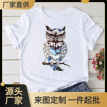 2024外贸新款夏季猫头鹰动物印花图案女士上衣短袖T恤