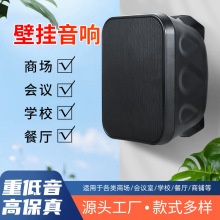 40W/60W壁挂音箱 高保真商铺学校会议用壁挂音响 源头工厂 款式多