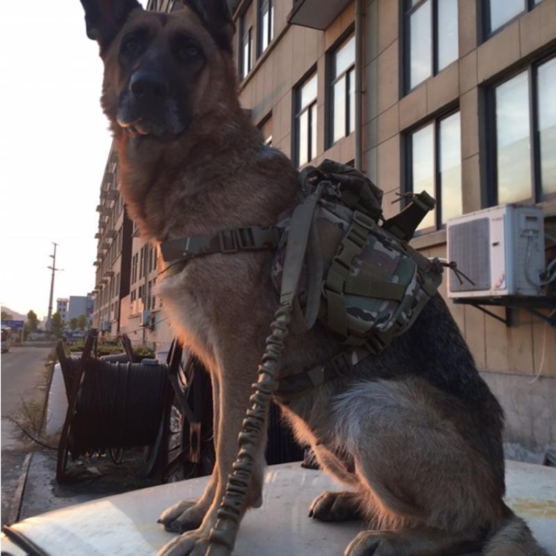 战术狗衣背心式胸背带中大型犬德牧k马甲军犬马犬金毛宠物衣服夏