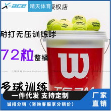 威尔逊 维尔胜  网球 Wils Team Trainer 72 装桶装训练球on