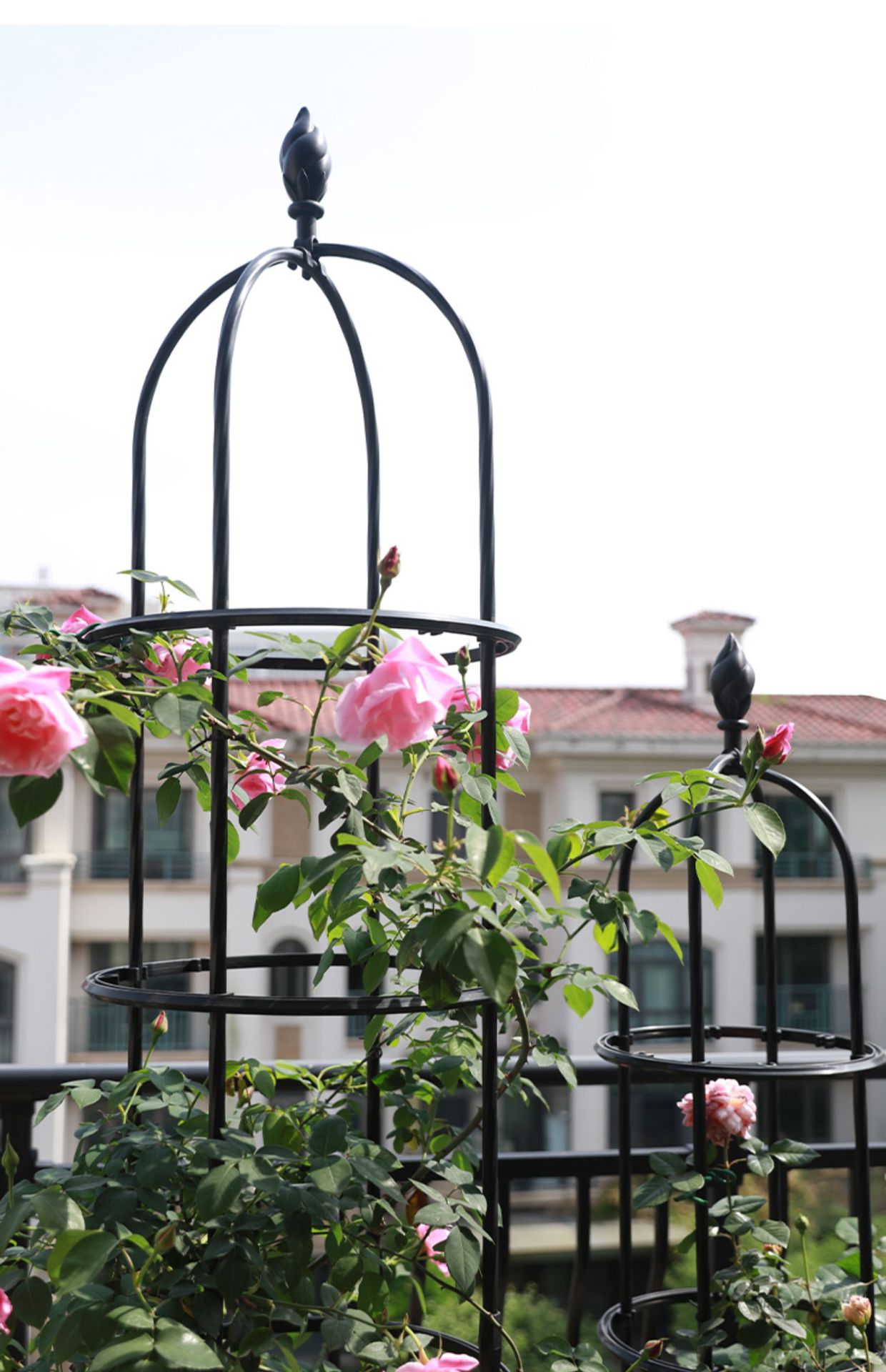 花架支架爬藤架藤本月季攀藤架圆柱花盆架植物支架子