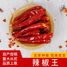 辣椒王干辣椒干货香辣调料家用调味50g*100袋/件