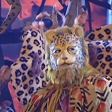 金钱豹头套西游记金钱暴富cos搞笑演出道具抖音同款毛绒动物面具