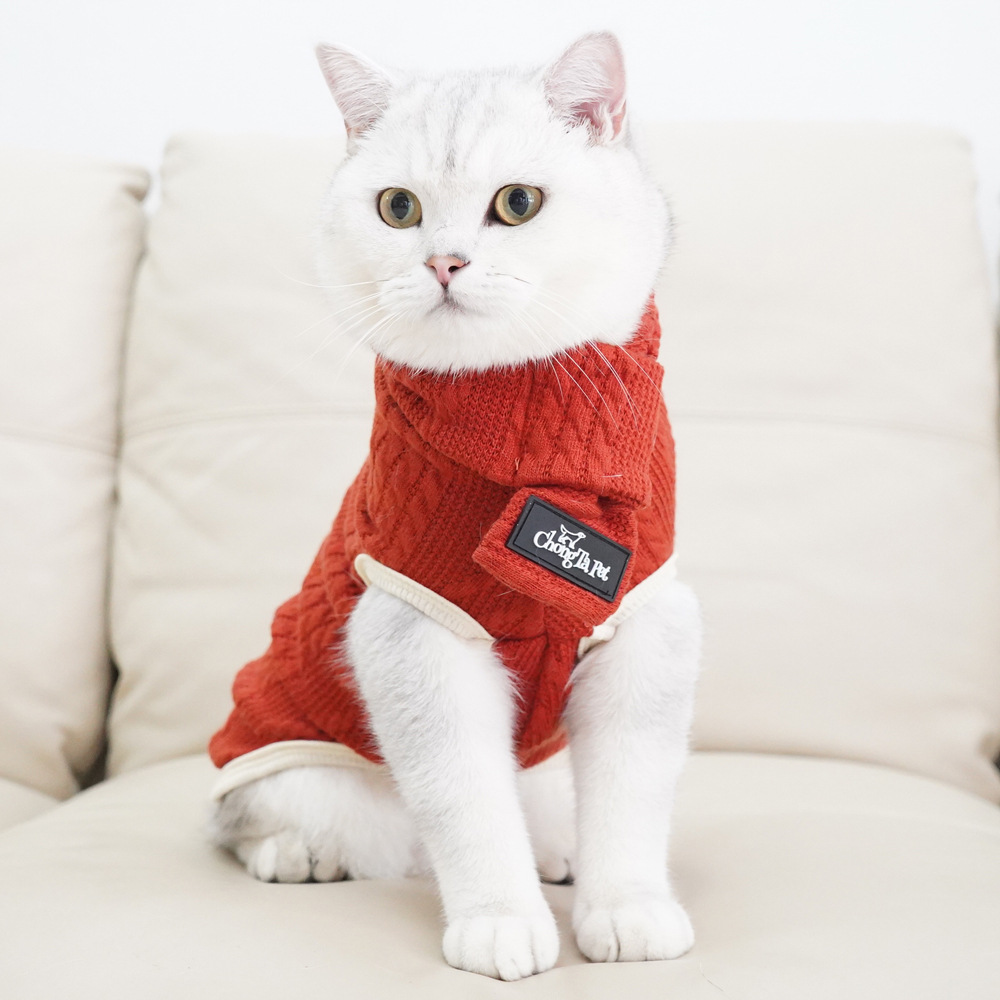 宠它纯色无毛猫宠物衣服毛衣冬季猫咪保暖衣银渐层蓝猫跨境货源