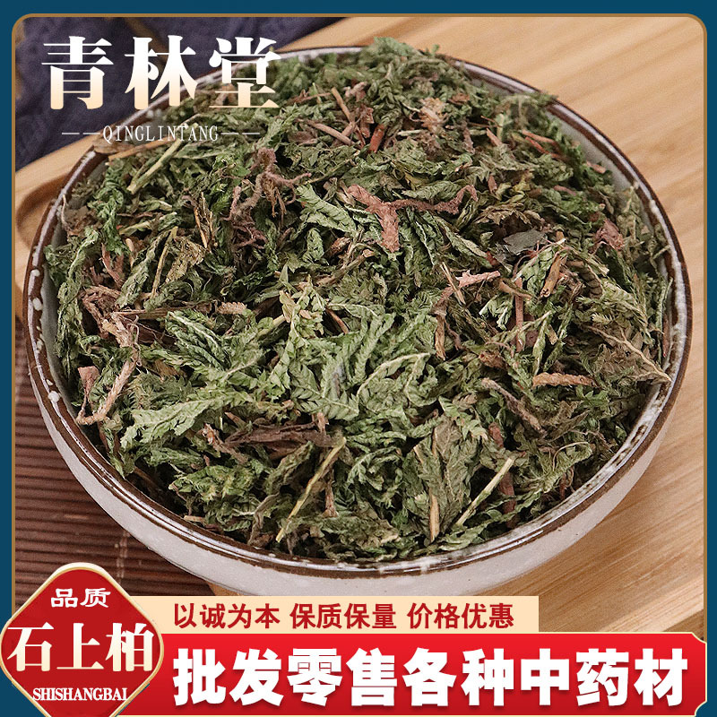 石上柏 中药材500克岩柏草 地侧柏 金龙草 深绿卷柏中草药店铺