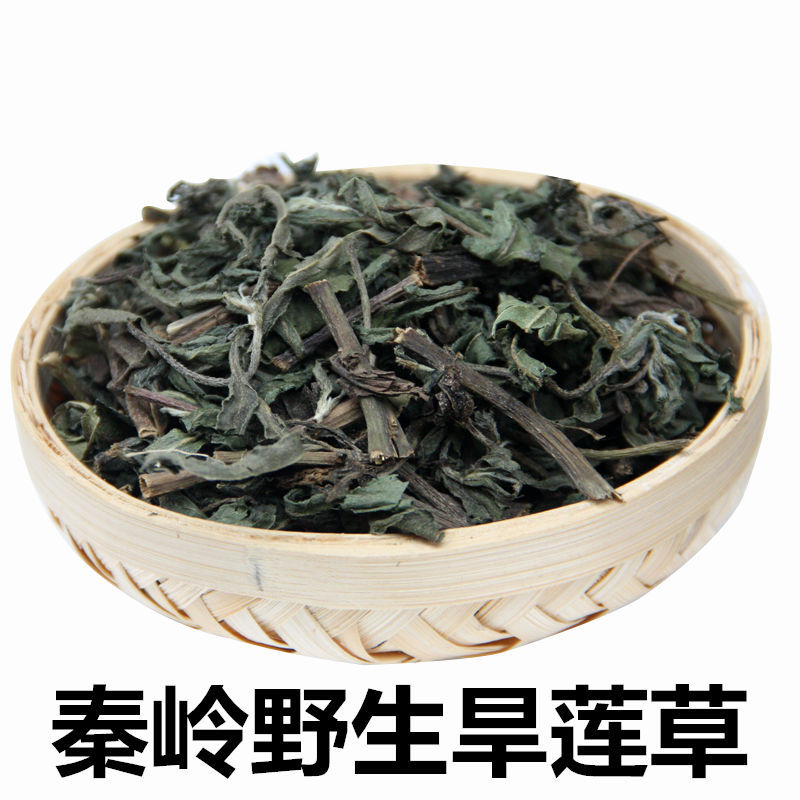 旱莲草 墨旱莲黑墨草猪牙草莲子草墨记菜墨斗草冬青子女贞子