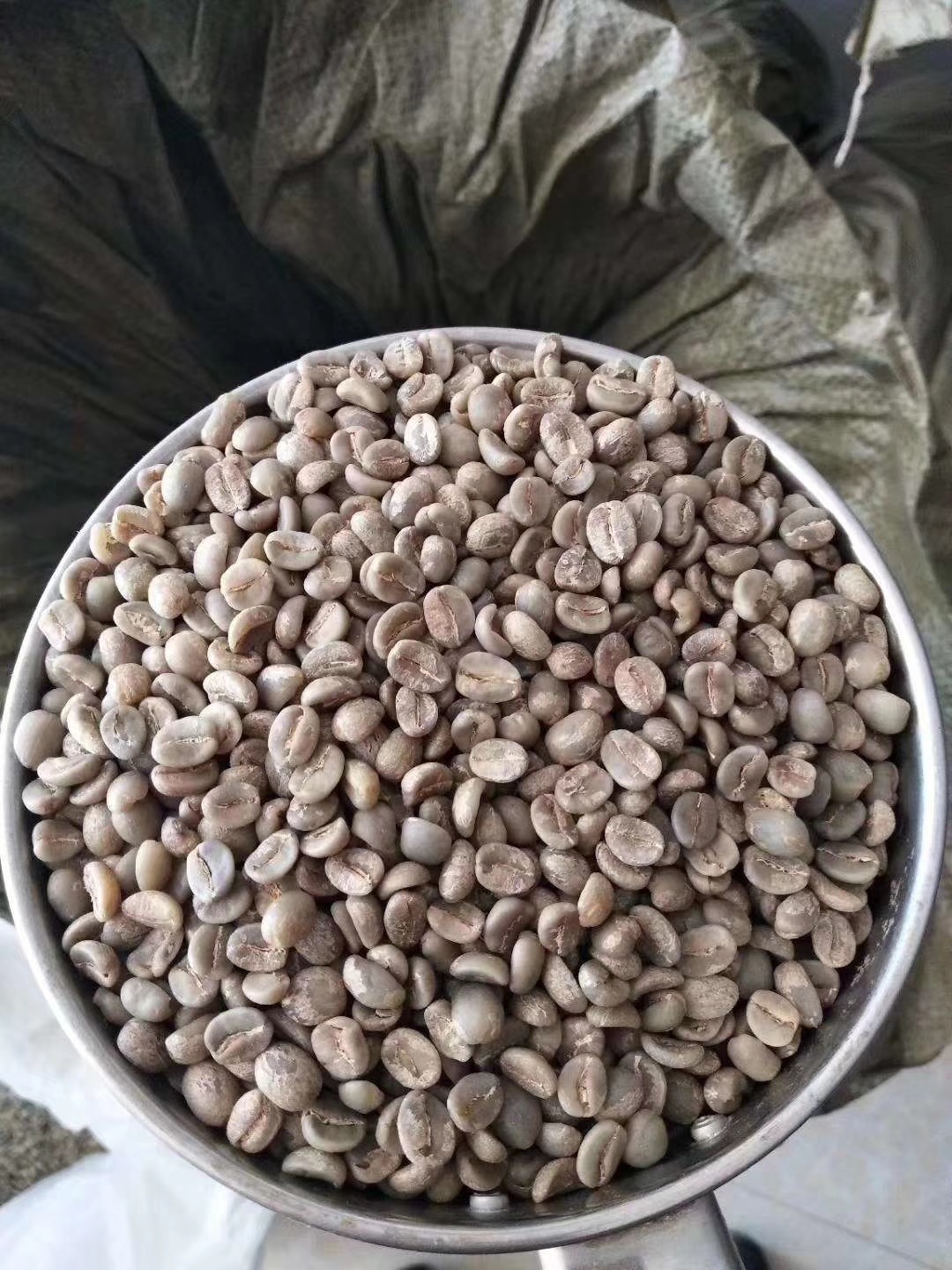 云南普洱咖啡生豆 小粒阿拉比卡水洗处理咖啡豆16-18目产地直发