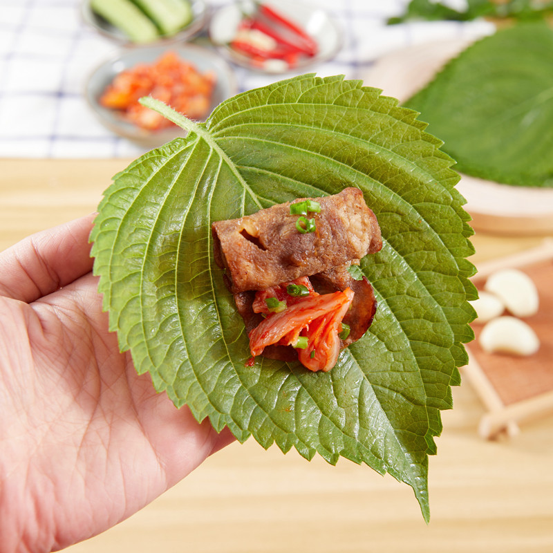 苏子叶新鲜韩国烤肉紫苏叶食用包饭叶绿色蔬菜新鲜东北紫苏包邮