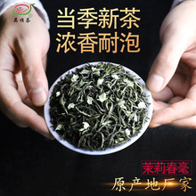 2024新茶广西横县茉莉花茶叶 春毫 茉莉绿茶散装奶茶原料产地直发