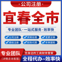 宜春丰城高安上高公司注册记账报税注销变更营业执照万载宜丰靖安