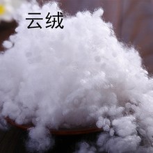 现货羽绒服填充棉 棉被pp蓬松棉海科纤维保暖丝绵 枕头水洗棉云绒