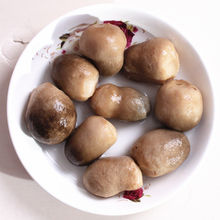 正宗老式口蘑菇草菇新鲜清水笋马蹄西红柿蔬菜罐头火锅烹饪速代发