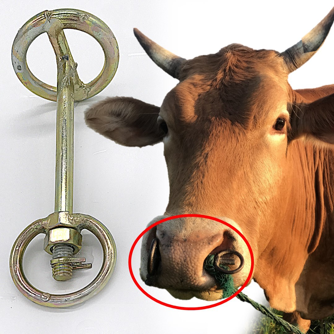 养殖场牛鼻栓钳子牛鼻钳牛鼻环牛鼻圈器械鼻夹环牛旋转设备便携