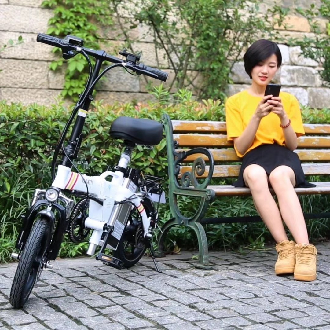 帕加迪14寸代驾折叠电动自行车锂电瓶宝王迷你超轻小型助力代步车