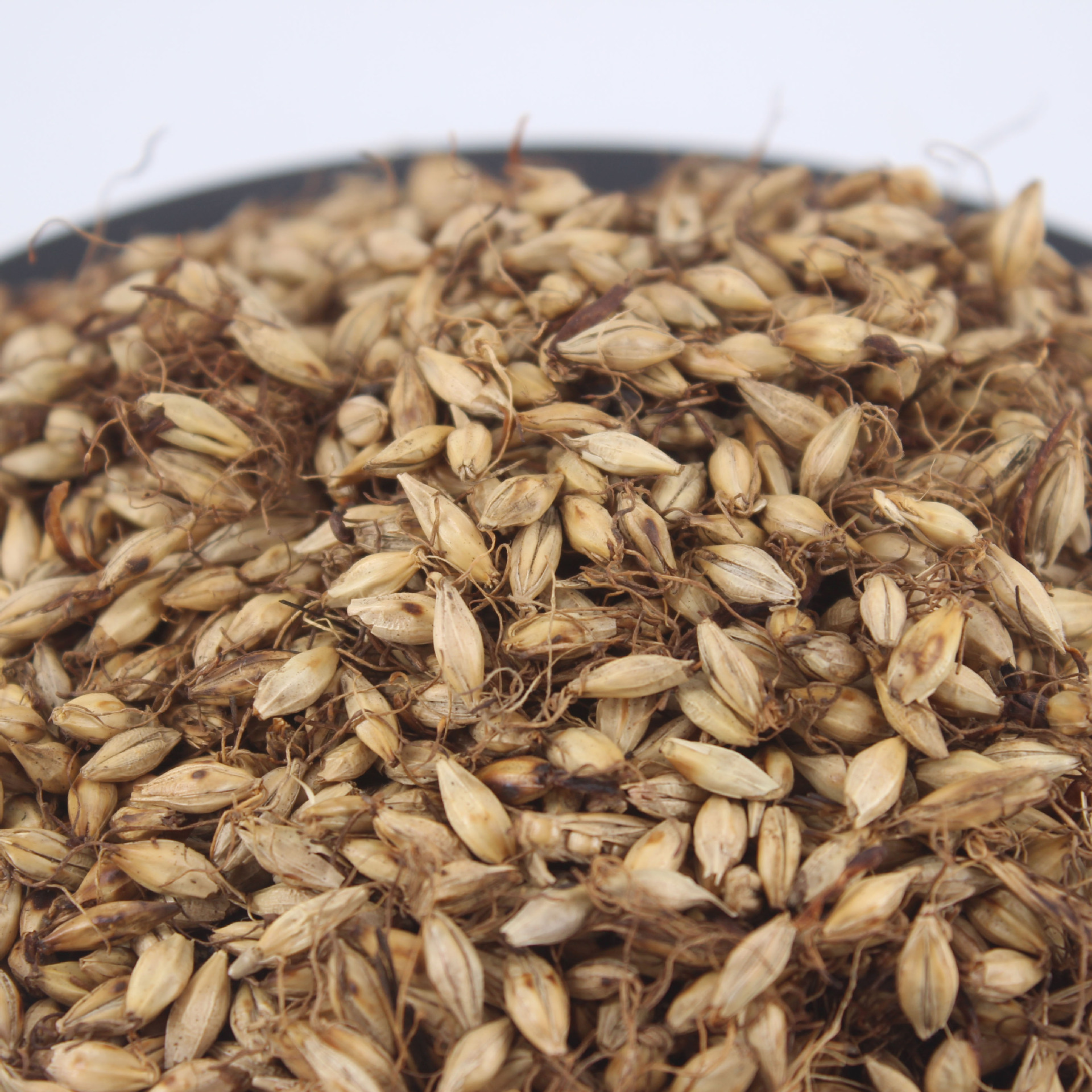 产地货源麦芽 四川麦芽炒麦芽 中药材批发一件代发湘起之秀中药行