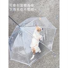 宠物专用狗狗雨伞下雨遛狗神器柯基雨衣狗用雨伞透明泰迪中小型犬