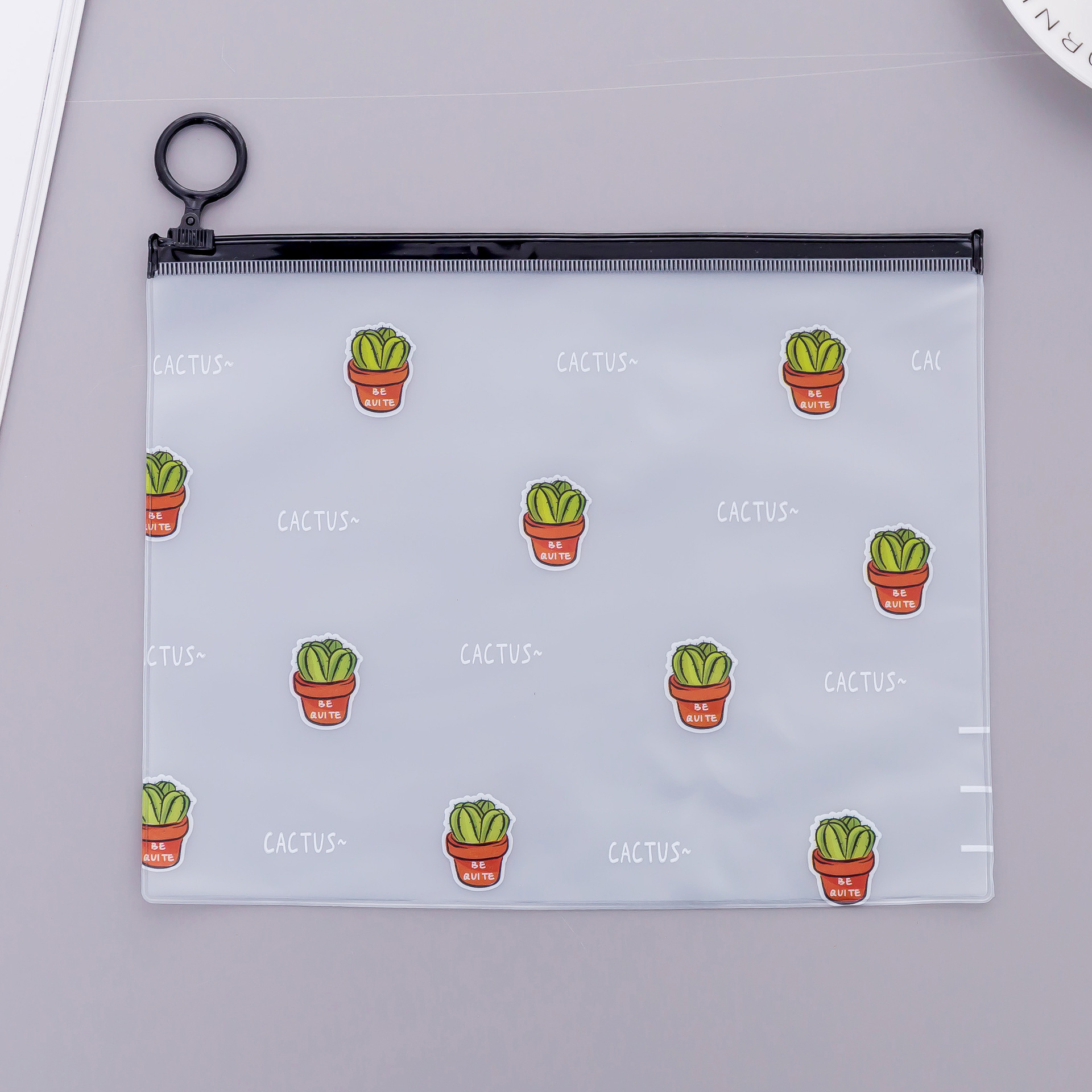 Creative Cute Cactus Pencil Case Translucent Frosted Zipper Buggy Bag Sundries Student Stationery Wholesale Factory