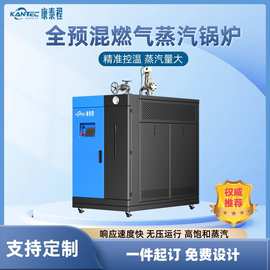 蒸汽发生器厂家中小型企业适用出厂即用安装快装燃气锅炉节能高效