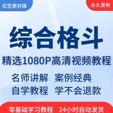 培训入门课程技巧在线综合视频教程格斗从MMA精通学习到全套