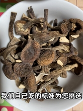 东北特产大全黑龙江野生榛蘑干货小鸡炖蘑菇无根榛蘑丁新货长白山