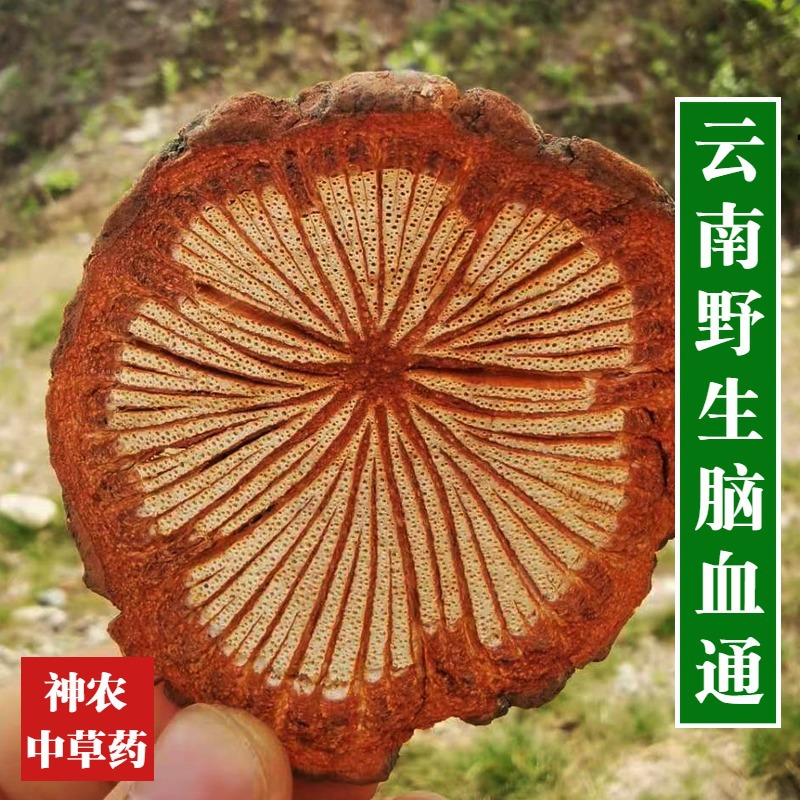 脑血通中药材血通片1斤包邮特级老树大血藤血塞通泡酒红藤片-阿里巴巴