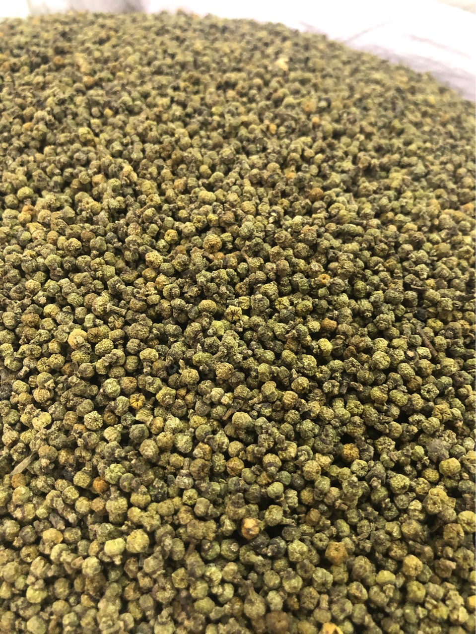 批发中药材吴茱萸 漆辣子 臭辣子树 米辣子 各种规格 药厂投料