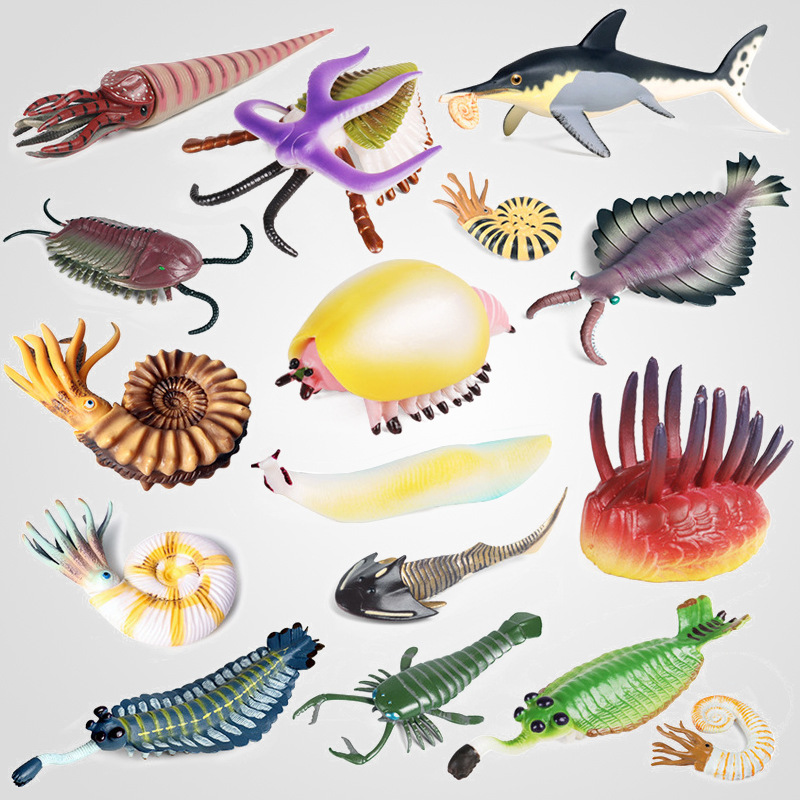 仿真认知史前海洋生物玩具寒武纪三叶虫欧巴宾海蝎盾虫鹦鹉螺摆件