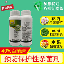 联索40%百菌清百菌青番茄花生月季白粉病叶斑黑斑病杀菌剂农药