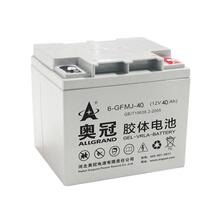 奥冠蓄电池6-GFMJ-65 阀控密封式 12V65AH 直流屏 基站UPS电源