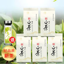 2023新茶正宗珍稀白茶春茶绿茶珍稀白茶绿茶叶散装礼盒250g500g
