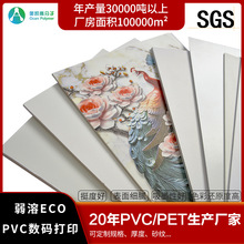 奥凯厂家批发pvc广告打印材料 弱溶剂ECO可覆膜pvc数码打印板