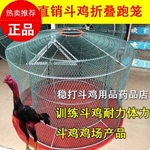 斗鸡罩笼铁笼稳定斗鸡训练用品折叠跑笼斗鸡罩笼斗鸡组装养殖提笼