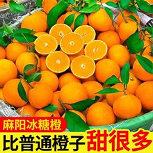 四川爱媛38号果冻橙10斤装橙子新鲜当季水果柑橘蜜桔子整箱橘子95