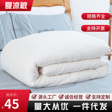 夏季新款棉花空调被纯色千层棉2斤棉花被子透气单人棉被床上用品