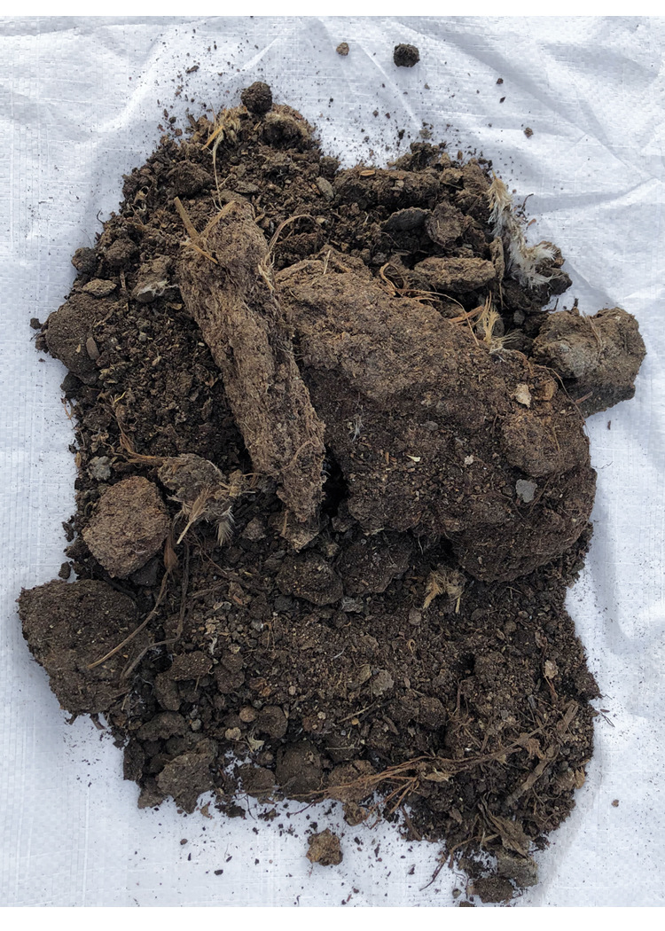 有机蔬菜用 颗粒鸡粪肥 发酵鸡粪 纯鸡粪有机肥