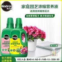 美乐棵绿萝月季兰花发财树水培专用肥料家用花肥植物通用型营养液