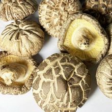 香菇特价批发新鲜特级野生蘑菇肉厚干香菇冬菇菌菇散跨境一件代发