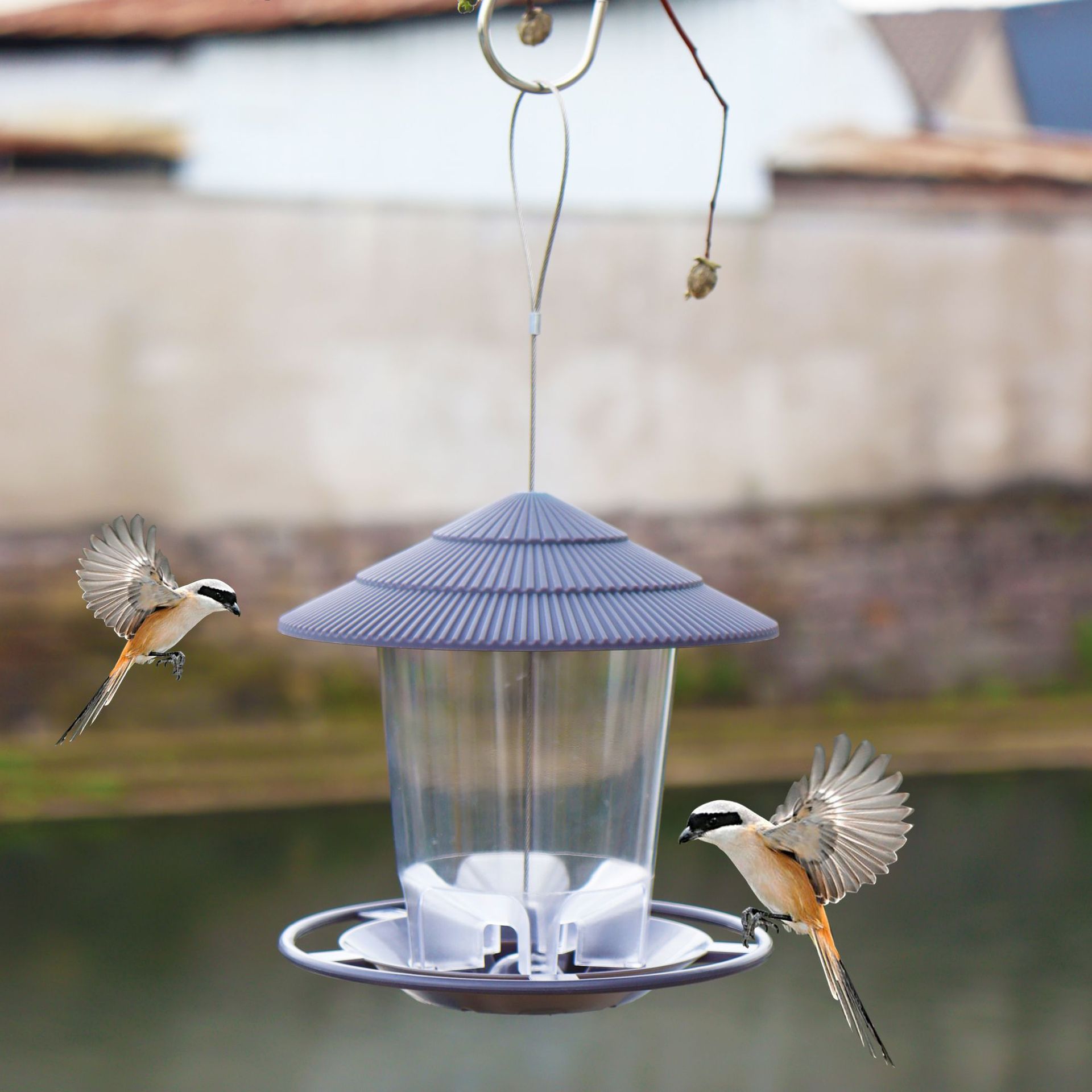 New Outdoor Garden Hanging Feeder Garden Hummingbird Feeder Automatic Hummingbird Feeder in Stock Wholesale