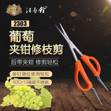 汪吾铨葡萄梳果修剪专用稀果嫩芽剪树枝加长2108翘头园艺剪刀蔬果