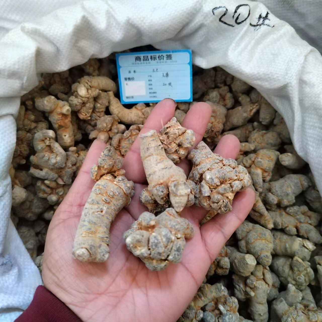 中药材现货批发三七各种规格 云南文山田七水洗三七可代粉-阿里巴巴