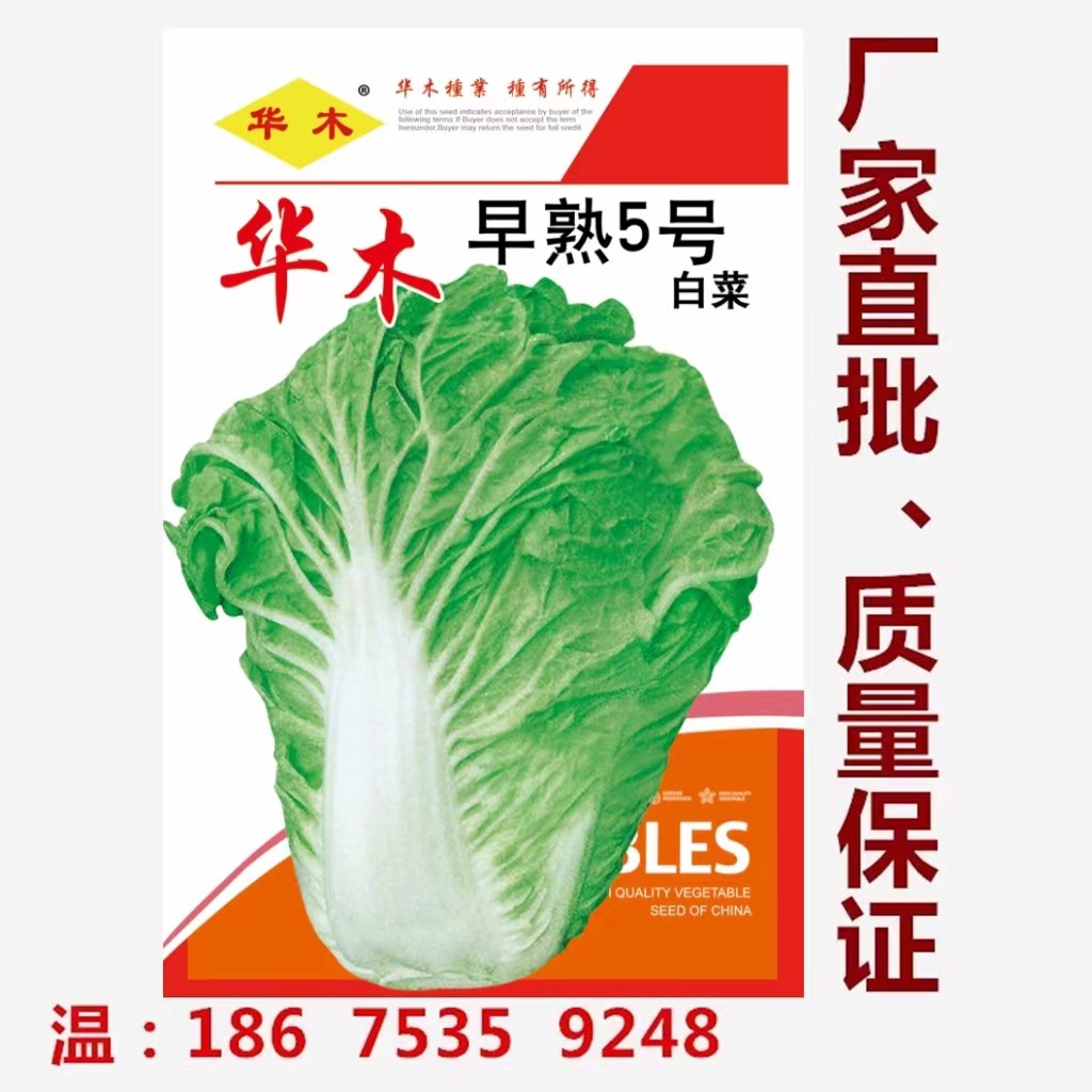 蔬菜种子;蔬菜种子;菜种子;园艺用品所在地:揭东县 曲溪街道路篦村