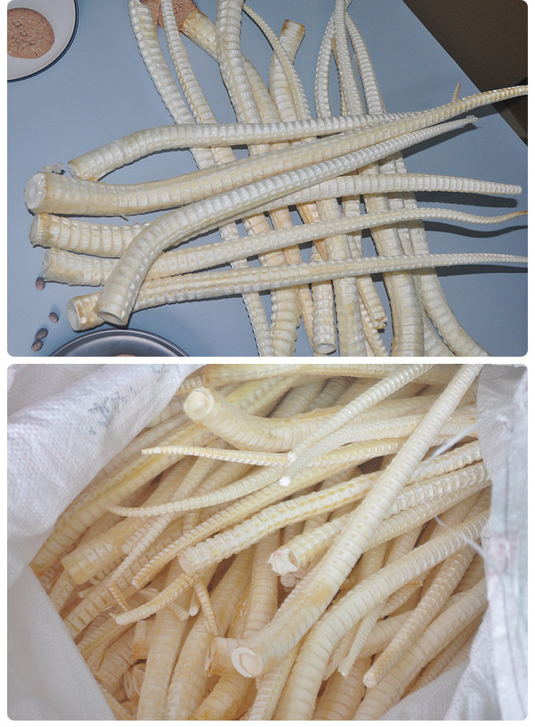 易芝堂鲨鱼骨龙骨干鱼骨煲汤佳品原味骨海鱼骨脊椎骨海味干货批发