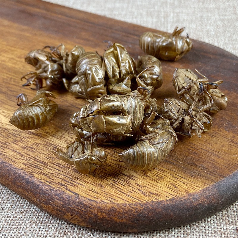 批发蝉蜕 虫褪蝉衣500g 金蝉无硫 蝉蜕粉 散装量大-阿里巴巴