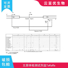 宝日医支原体检测试剂盒TaKaRa 6601细胞培养检测 PCR扩增